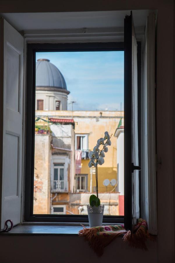 Appartamento Le Rondini Della Pietrasanta *