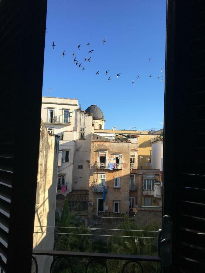 Le Rondini Della Pietrasanta Appartamento